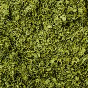 COORG PREMIUM QUALITY KASTURI METHI