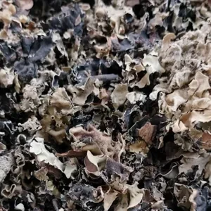 COORG PREMIUM QUALITY STONE FLOWER