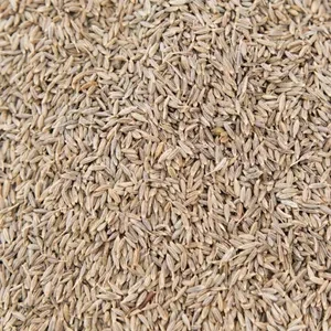 COORG PREMIUM QUALITY JEERA
