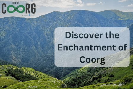 Discover the Enchantment of Coorg A Comprehensive Guide to Resorts, Homestays, and Mesmerizing Attractions