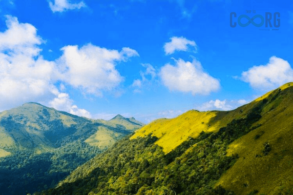 Tadiandamol Peak​