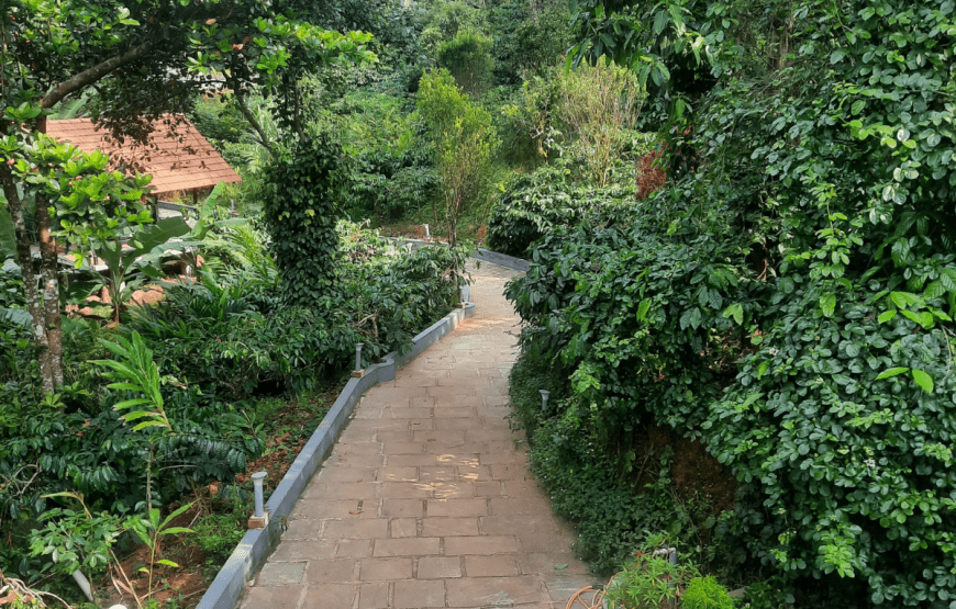 Coffee Garden Resort