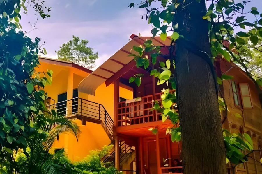 Junglewood Coorg Homestay: Where Nature Meets Comfort