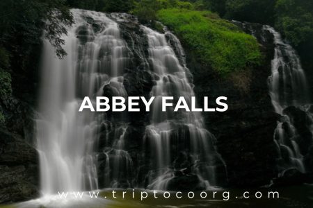 Abbey Falls