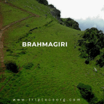 Brahmagiri