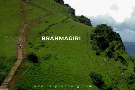 Brahmagiri