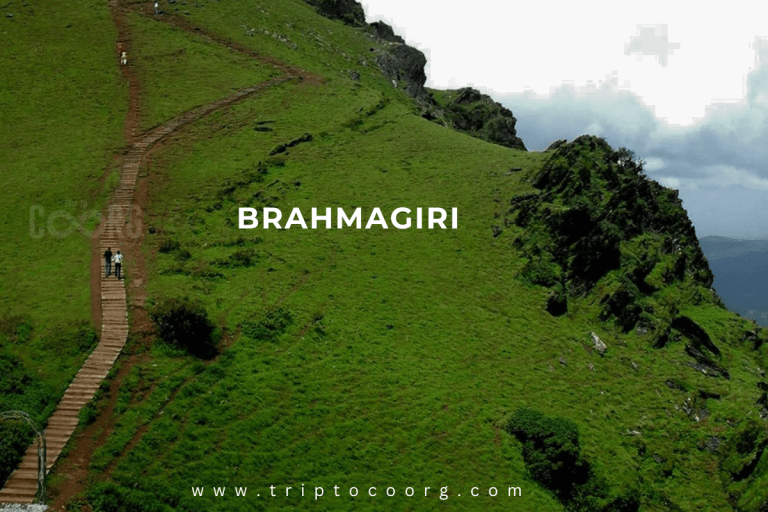 Breathtaking Brahmagiri – A Journey Into Nature's Paradise