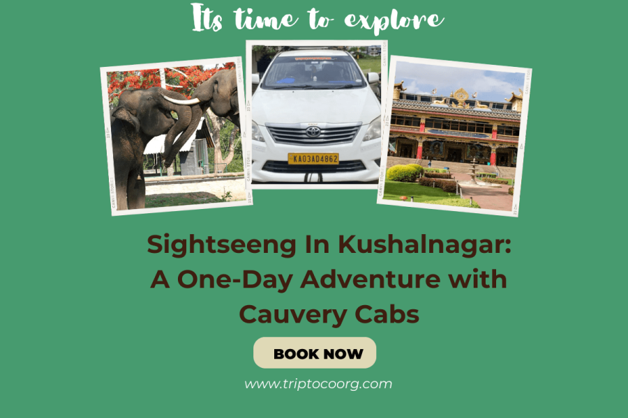 Sightseeng In Kushalnagar: A One-Day Adventure with Cauvery Cabs