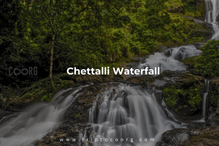 Chettalli Waterfall (A Hidden Gem of Coorg)