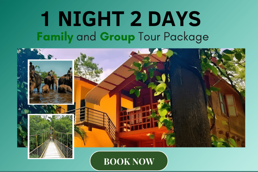 Coorg Adventure: 1 Night of Fun at Namana Homestay