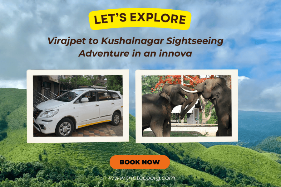 Virajpet to Kushalnagar Sightseeing Adventure in an innova