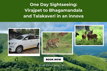 Sightseeing: Virajpet to Nagarahole in an innova