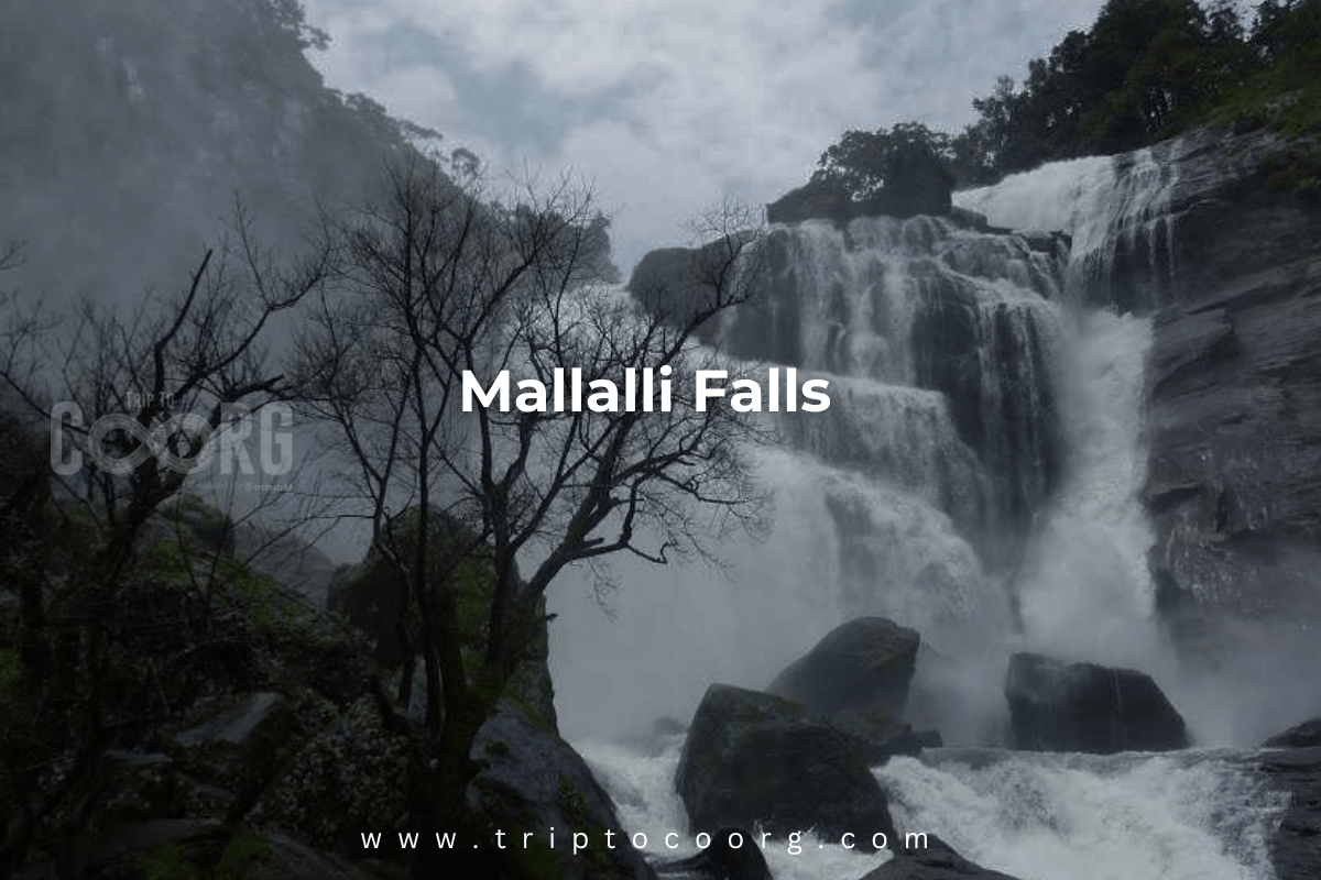 Mallalli Falls