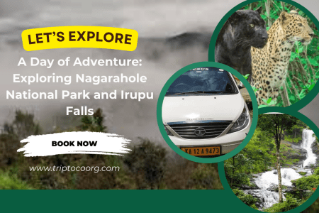 Sightseeing Wonders: Explore Nagarahole and Irupu Falls in a Day