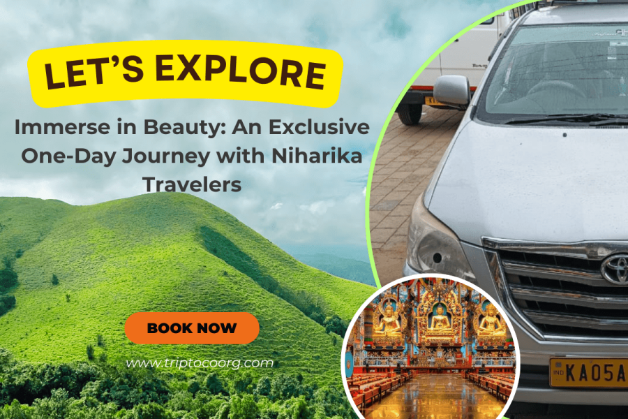 Sightseeing Serenity: A One-Day Escape with Niharika Travelers