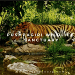 Pushpagiri Wildlife Sanctuary