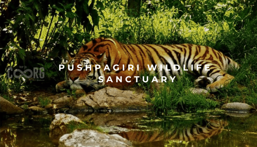 Pushpagiri Wildlife Sanctuary