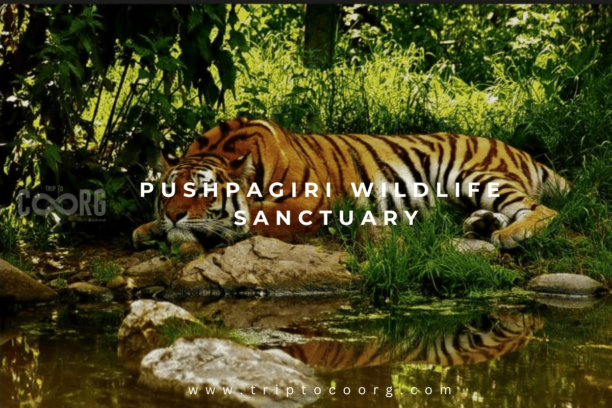 Pushpagiri Wildlife Sanctuary