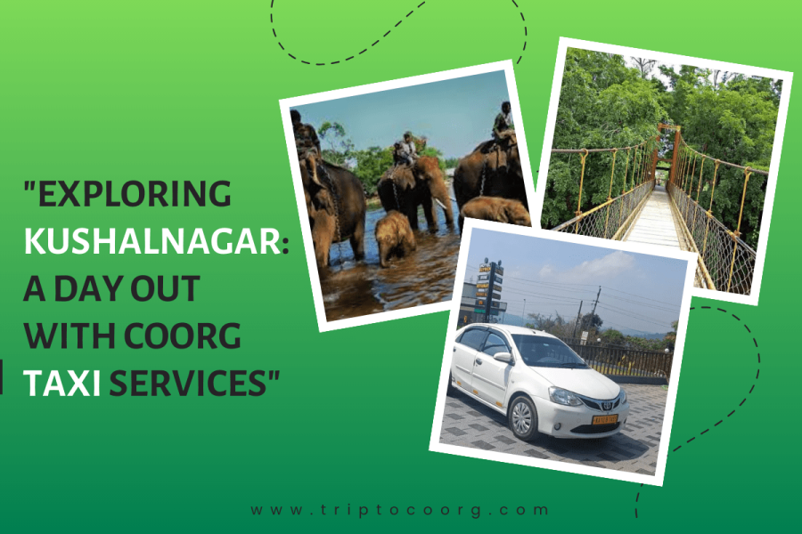 Sightseeng In Kushalnagar: A Day with Coorg taxi services