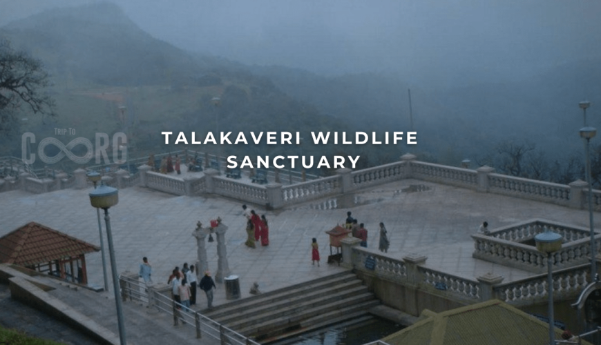 Talakaveri Wildlife Sanctuary