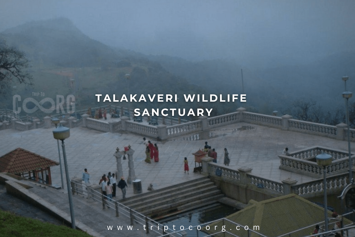 Talakaveri Wildlife Sanctuary