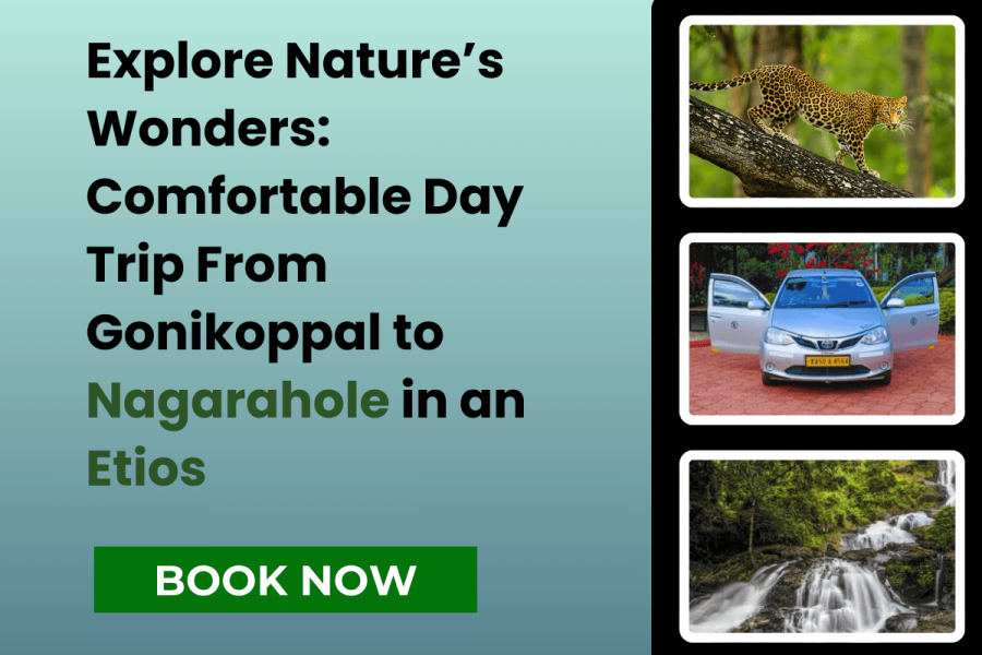 Into the Wild: Gonikoppal to Nagarahole and Beyond