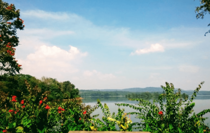 Coorg River tern Homestay