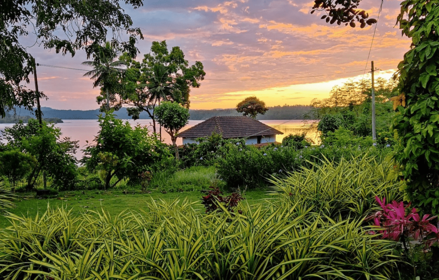 Coorg River tern Homestay