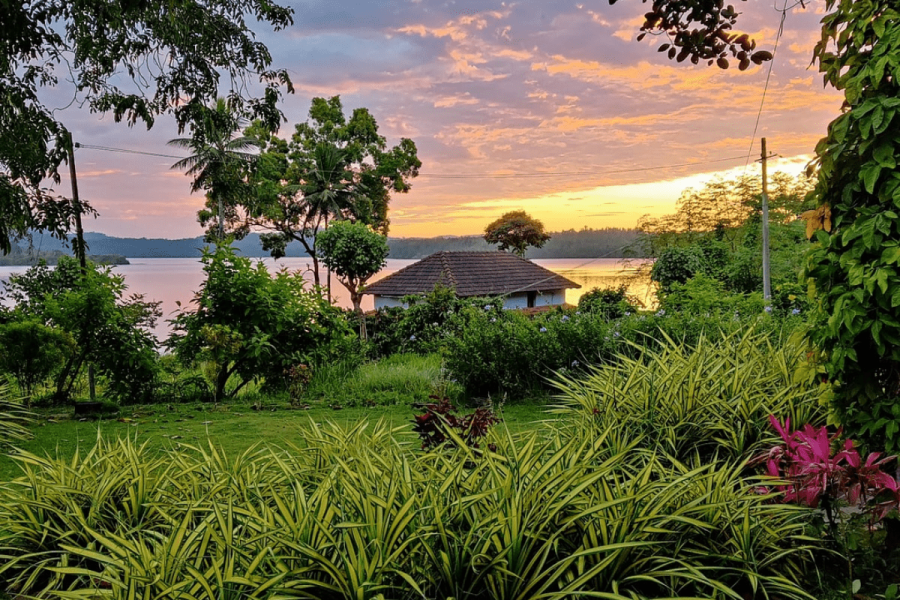 Coorg River tern Homestay