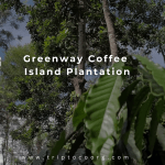 Greenway Coffee Island Plantation