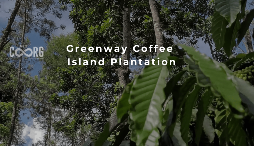 Greenway Coffee Island Plantation