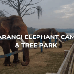 Harangi Elephant Camp & Tree Park