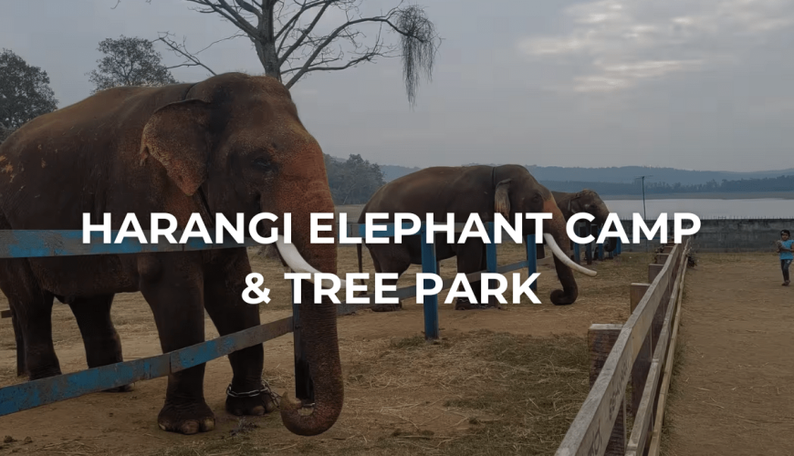 Harangi Elephant Camp & Tree Park