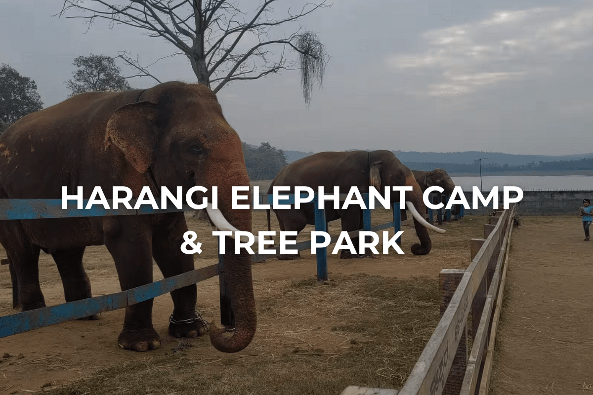 Harangi Elephant Camp & Tree Park