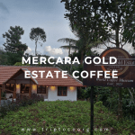 Mercara Gold Estate Coffee