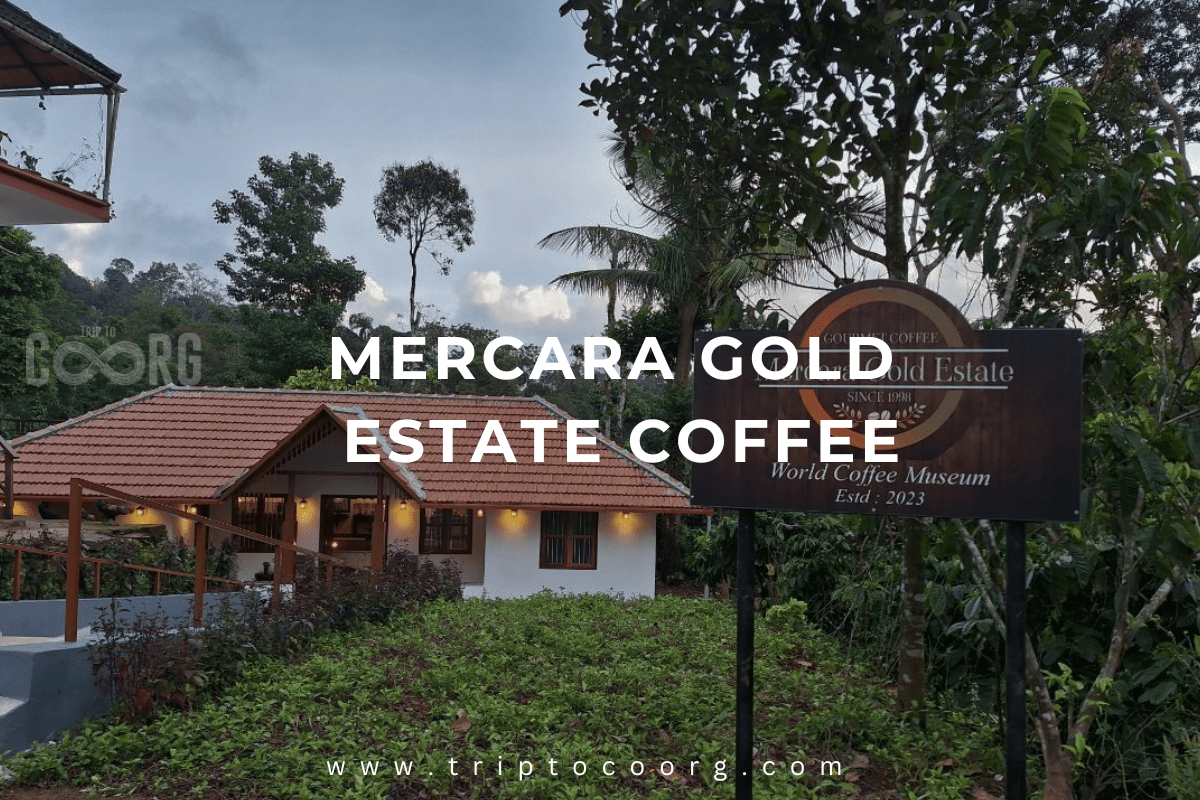 Mercara Gold Estate Coffee