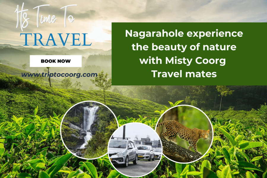 Sightseeing Nagarahole: Experience the Beauty of Nature with Misty Coorg Travel Mate