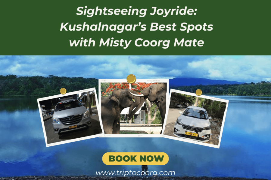 Sightseeing Joyride: Kushalnagar’s Best Spots with Misty Coorg Mate