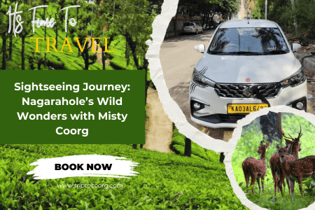 Sightseeing Journey: Nagarahole’s Wild Wonders with Misty Coorg