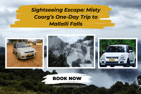 Sightseeing Escape: Misty Coorg’s One-Day Trip to Mallalli Falls