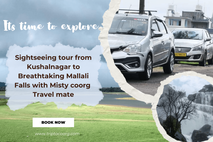 Sightseeing Tour from Kushalnagar to Breathtaking Mallali Falls with Misty Coorg Travel Mate