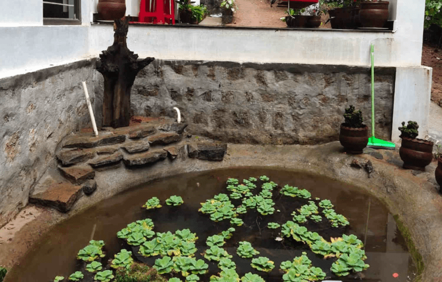 Balajivilla Nature Homestay Coorg