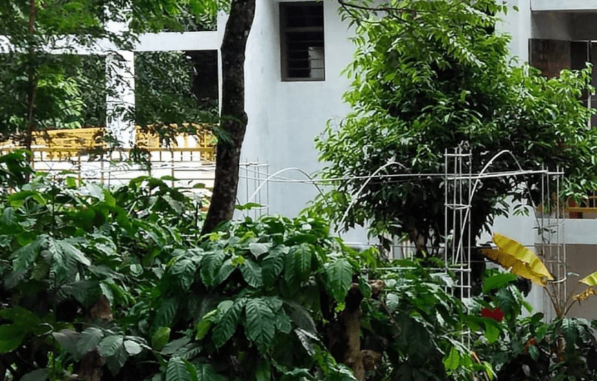 Balajivilla Nature Homestay Coorg