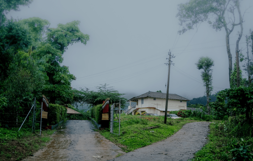 Brahmagiri Hills Homestey