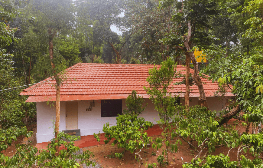 Nagarhole Homestay