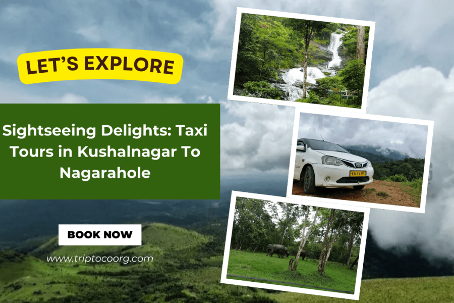 Sightseeing Delights: Taxi Tours in Kushalnagar To Nagarahole