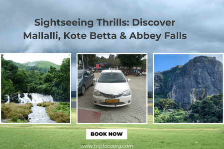 Sightseeing Thrills: Discover Mallalli, Kote Betta & Abbey Falls