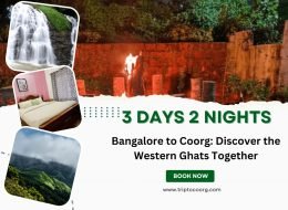 Woods & Warmth: Coorg Bonfire Break