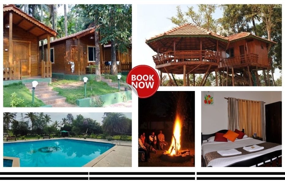 Bird Of Paradise Homestay