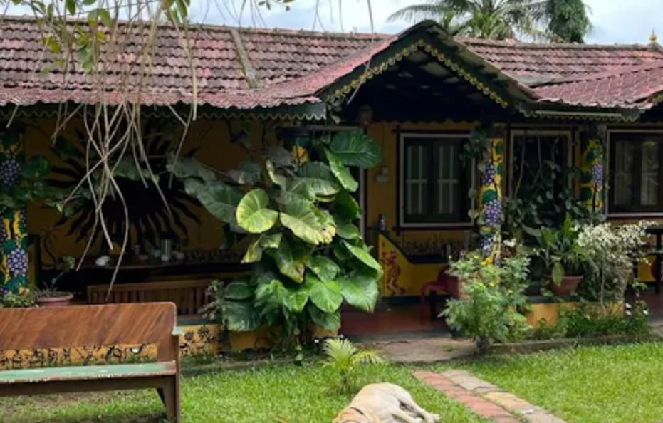 Bird Of Paradise Homestay